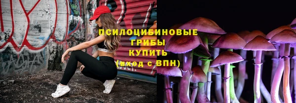 первитин Белокуриха