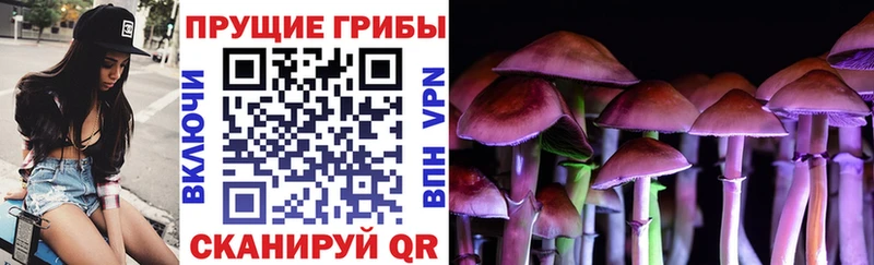 Псилоцибиновые грибы GOLDEN TEACHER  Бутурлиновка 